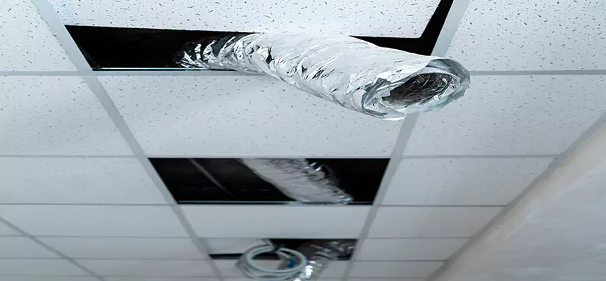 Affordable HVAC Sanitizing After Pest Removal in Glassboro