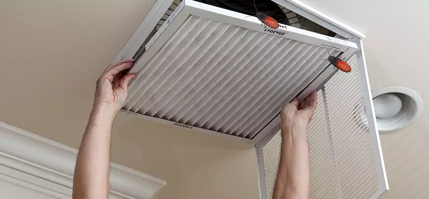 Our Insect Removal from Air Ducts Services in Glassboro, NJ