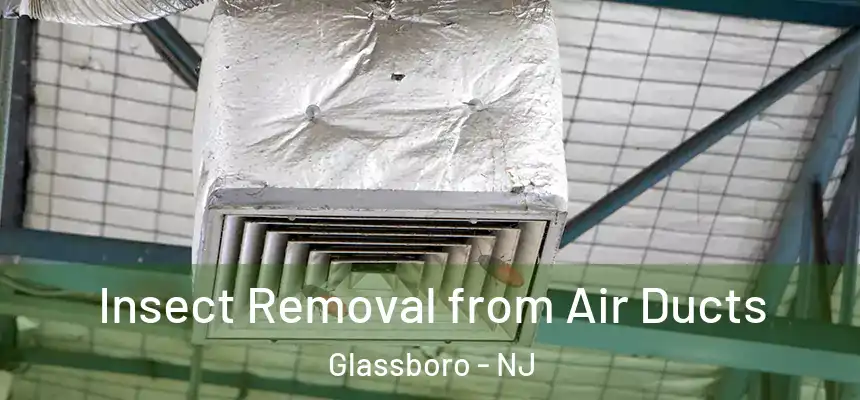 Insect Removal from Air Ducts Glassboro - NJ