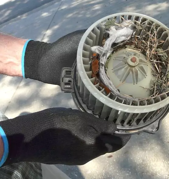 About Air Duct Rat Removal in Glassboro, NJ