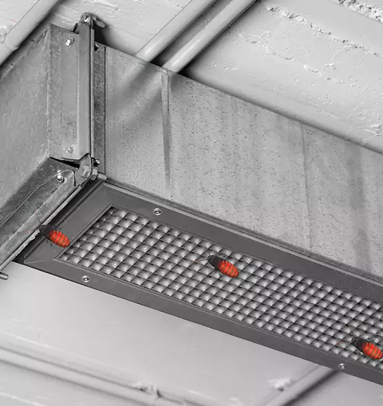 Affordable Insect Removal from Air Ducts in Glassboro, NJ